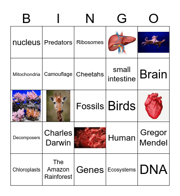 General Biology Bingo Card