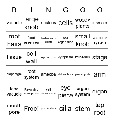 Organs and Cells Bingo Card