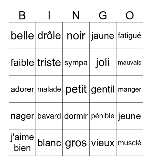 Les Adjectifs / Les Verbes Bingo Card