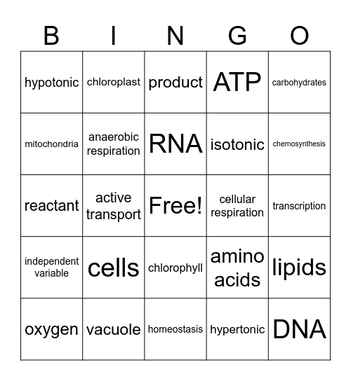 Semester Review Bingo Card