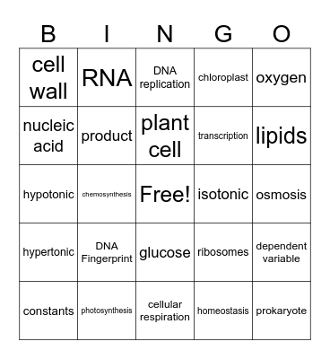 Semester Exam Bingo Card