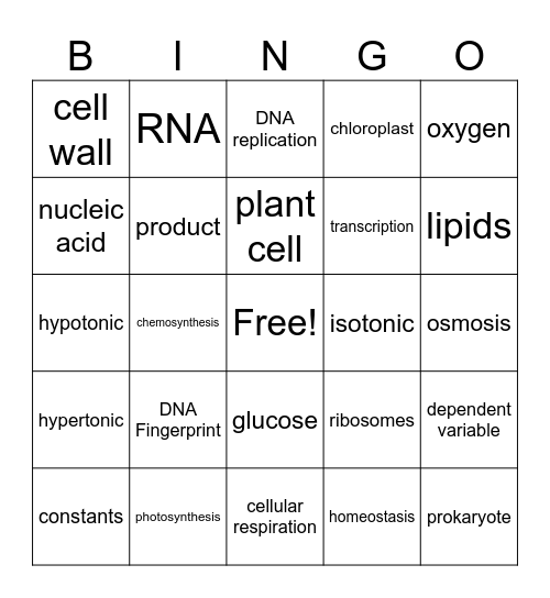 Semester Exam Bingo Card