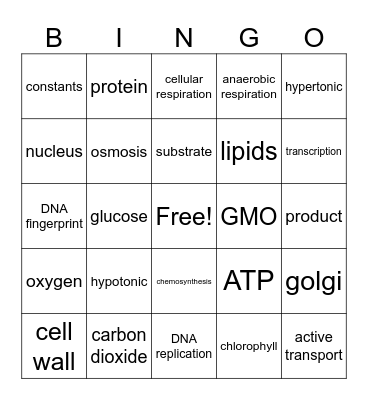 Semester 1 Bingo Card