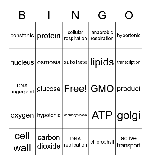 Semester 1 Bingo Card