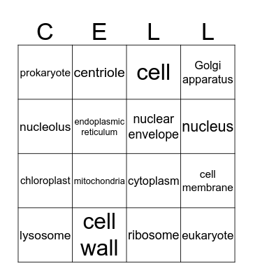 Cell Vocabulary Bingo Card