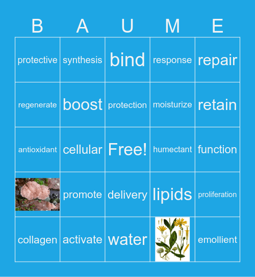 EXO BAUME BINGO Card