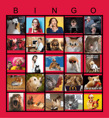 Funny phone memes Bingo Card
