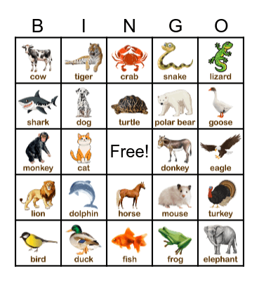 Animal Bingo Card