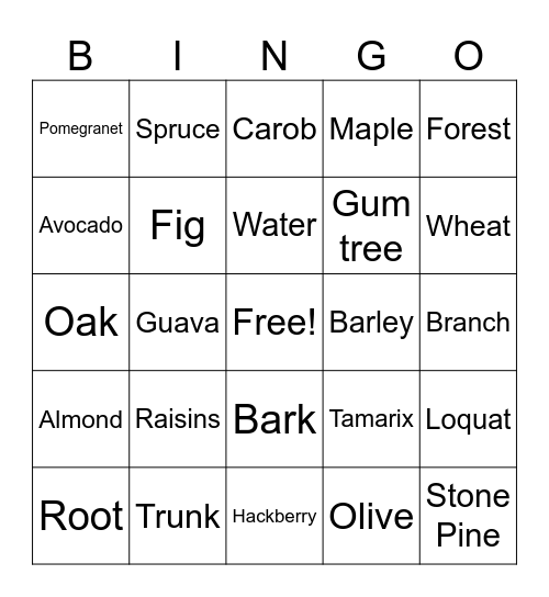 Tu B'Shevat Bingo Card