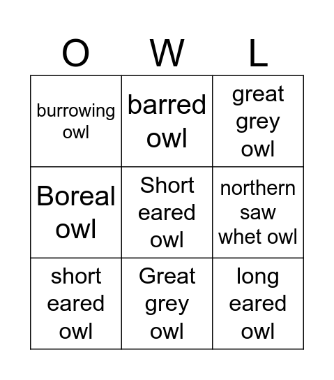 Owls Bingo Card