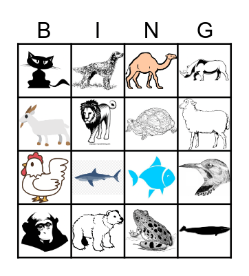 Animals Bingo Card