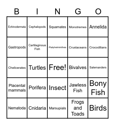 Animal Phylum Bingo Card