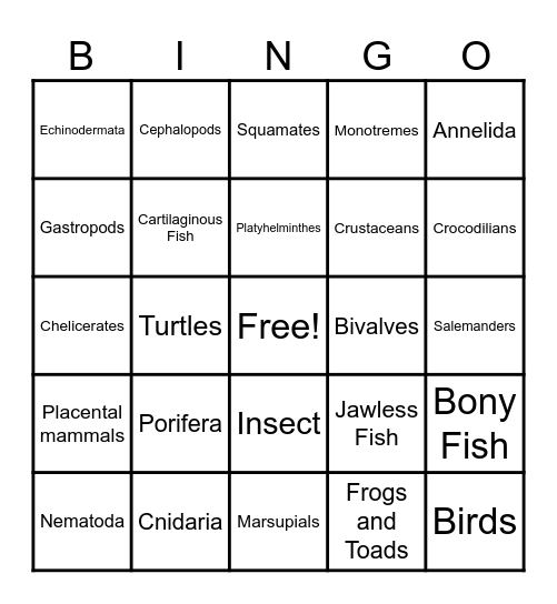 Animal Phylum Bingo Card