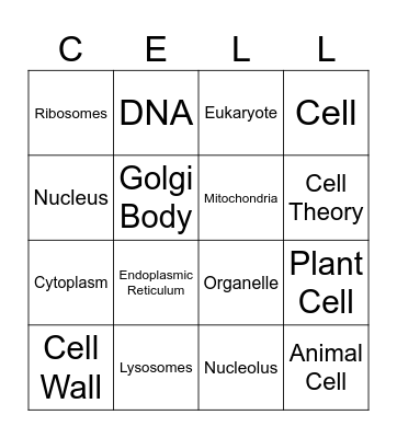 Cell Structure & Function BINGO Card
