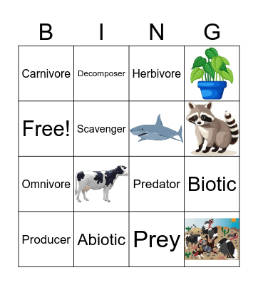 Foundations Ecology Bingo Card