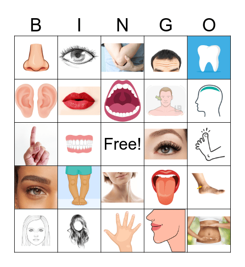 Body Bingo Card