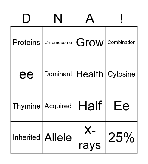 DNA and Heredity Bingo Card