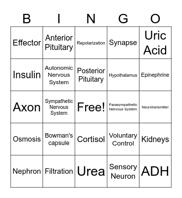 Homeostasis Review Bingo Card