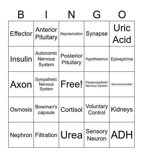 Homeostasis Review Bingo Card