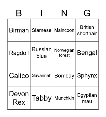 CAT BREED Bingo Card