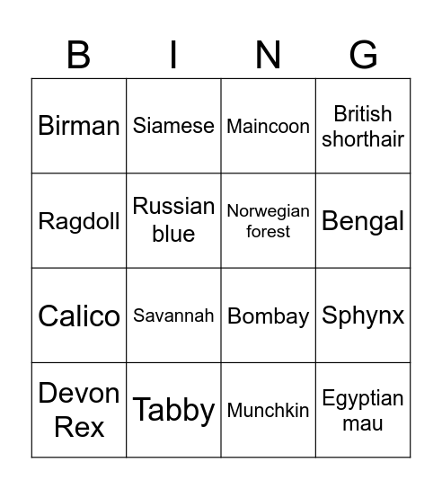 CAT BREED Bingo Card