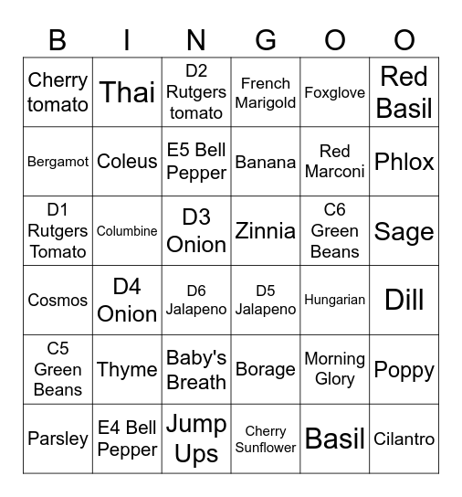 Plants Bingo Card