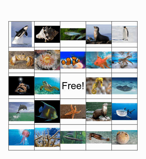 Under the Sea Bingo Card