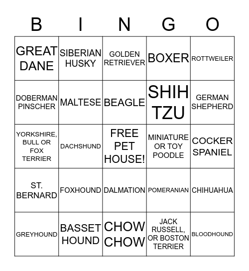 PET BINGO Card