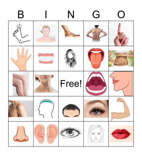 Body Bingo 2 Bingo Card