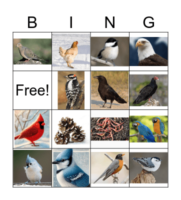 Winter Bird Bingo Card