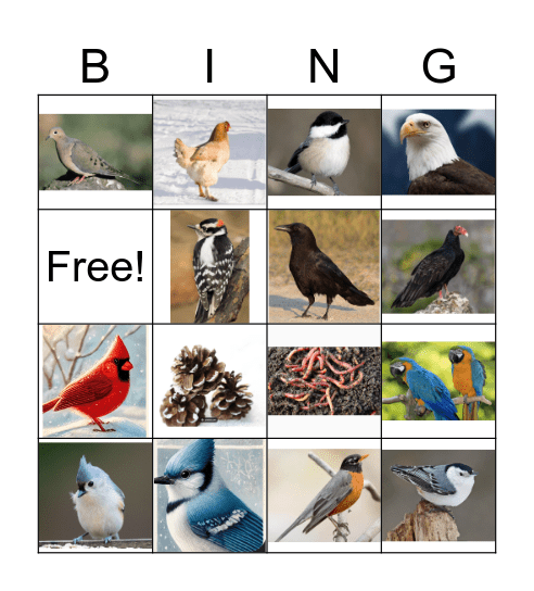 Winter Bird Bingo Card