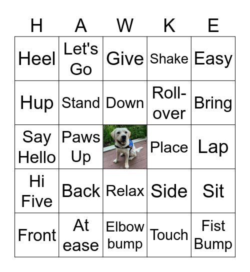 Hawkeye Bingo Card