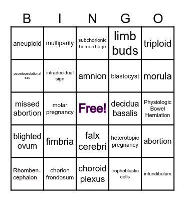 Chapter 23 Vocab Bingo Card