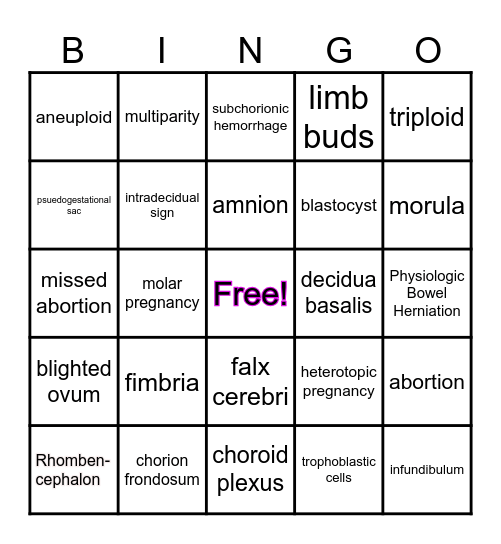 Chapter 23 Vocab Bingo Card