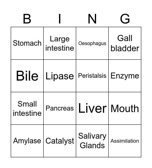 The Digestive System Bingo Card