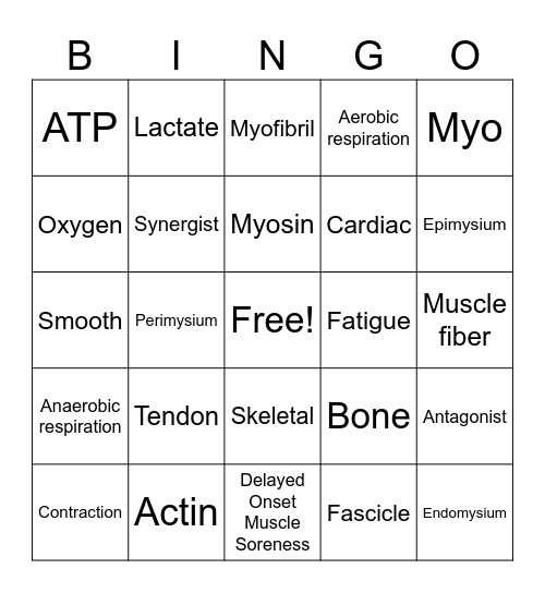 Muscular System Review Bingo Card
