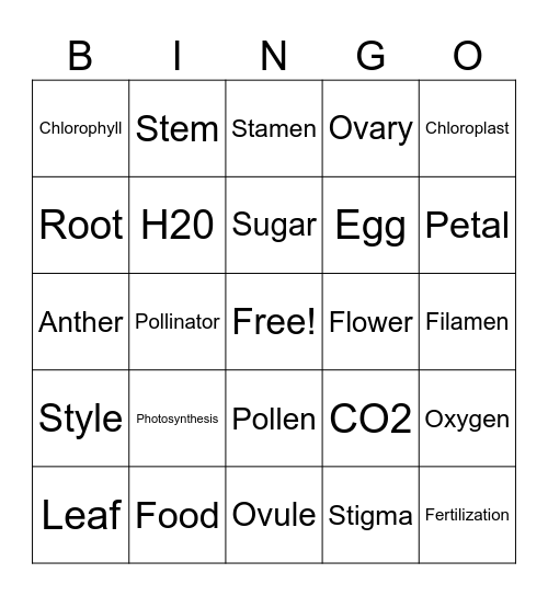 Plants Bingo Card