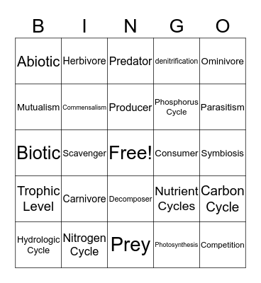 Ecology Bingo Card