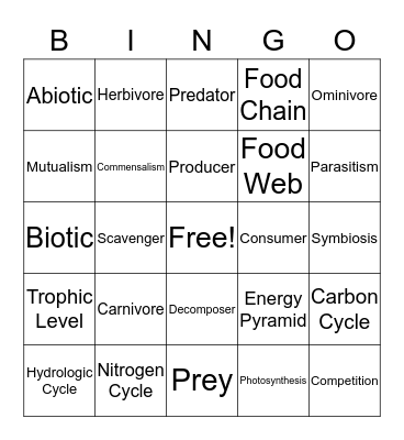 Ecology Bingo Card