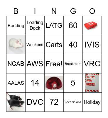 Tech Wk 2025: Uplifting Bingo Card