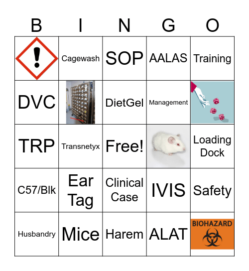 Tech Wk 2025: Uplift Bingo Card