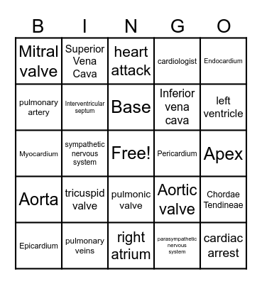 Cardiac Bingo Card