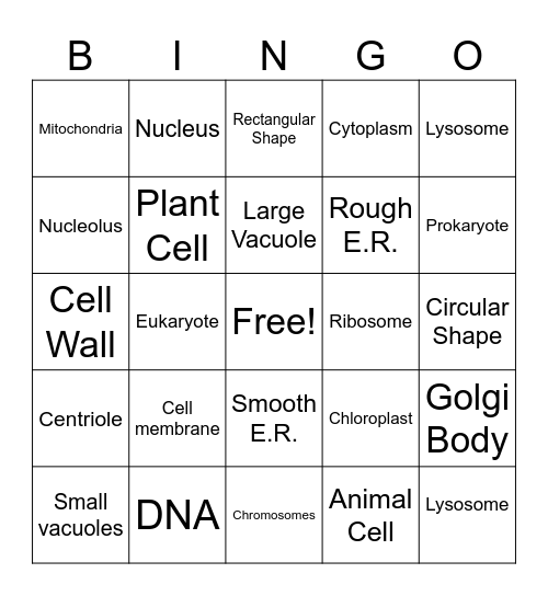 Cell Organelles Bingo Card