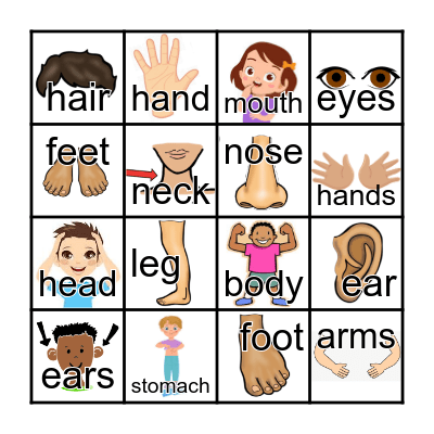FFF BODY PARTS  1 Bingo Card