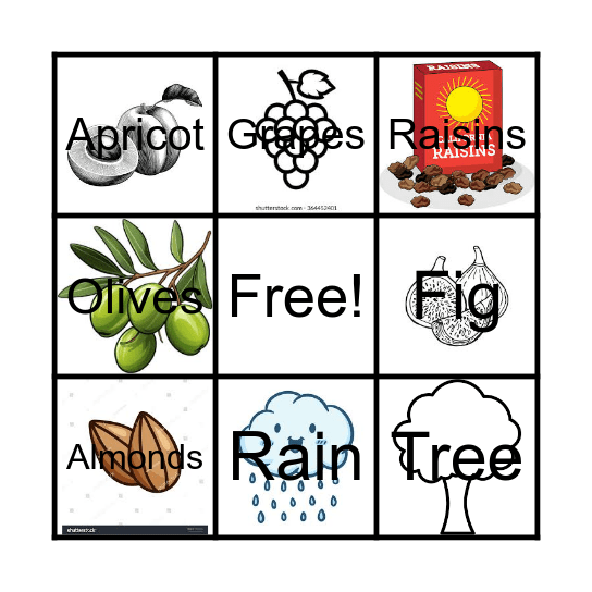 Tu Bishvat Bingo Card