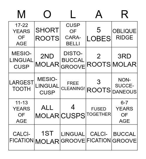MAXILLARY MOLAR MANIA Bingo Card