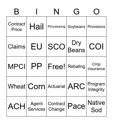 Rain and Hail Bingo Card