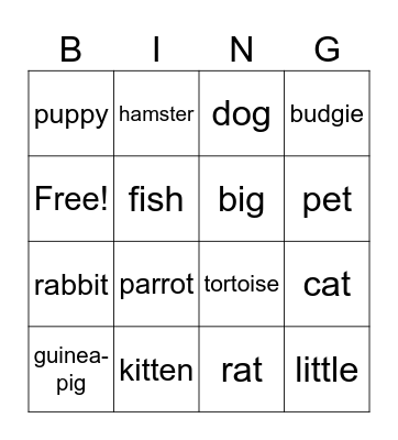 pets Bingo Card