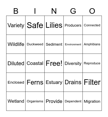 Wetlands vs Estuaries Bingo Card