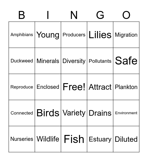 Wetlands and Estuaries Bingo Card
